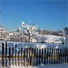 Wintereinbruch+11.12.2012